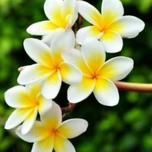 Meet your Posher, Lucy